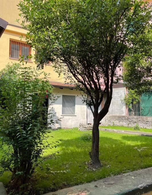 Il Giardino Nascosto Apartment โอเมญา ภายนอก รูปภาพ